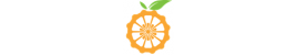Orange Pi Orange Pi